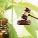 Student Senate – Changing Lives